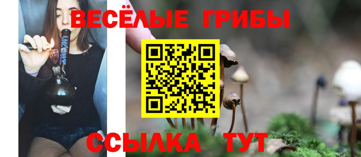 Псилоцибиновые грибы прущие грибы Гай